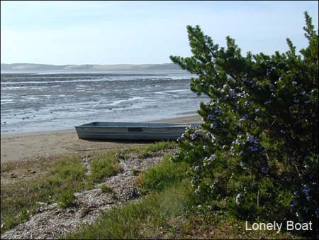LonelyBoat